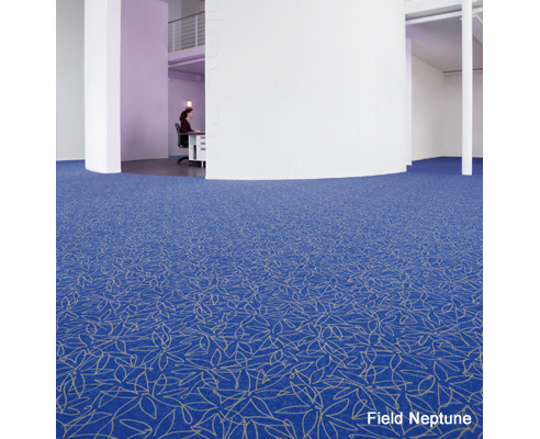 carpet Field-Neptune