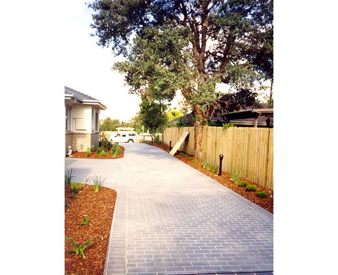tree over driveway