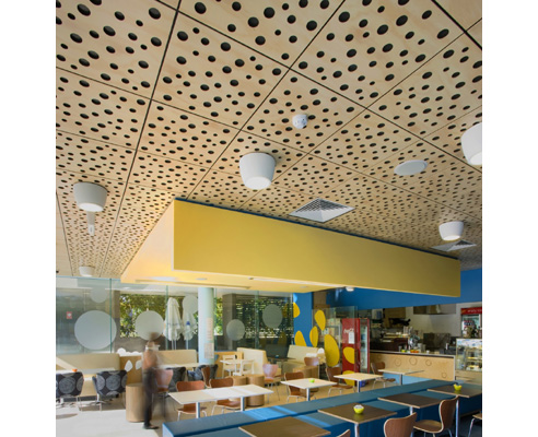 ceiling panel system