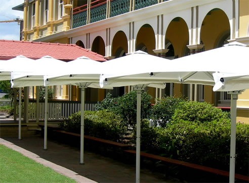 white shade umbrellas