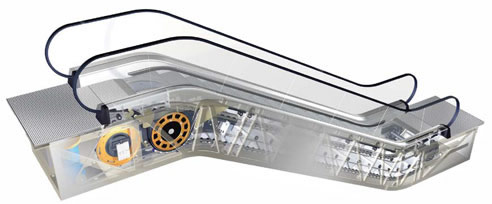 led downlight affordable