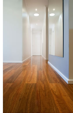 spotted gum laminate flooring