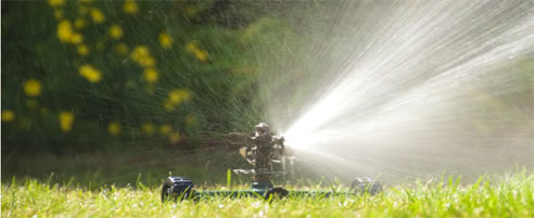 sprinkler