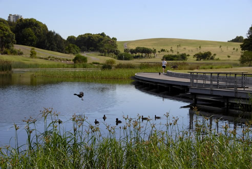 coreten aquaduct sydney park