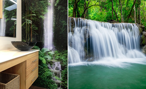 rainforest bathroom