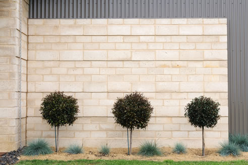 sandstone look wall lignastone