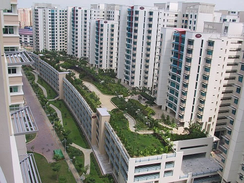 green roof