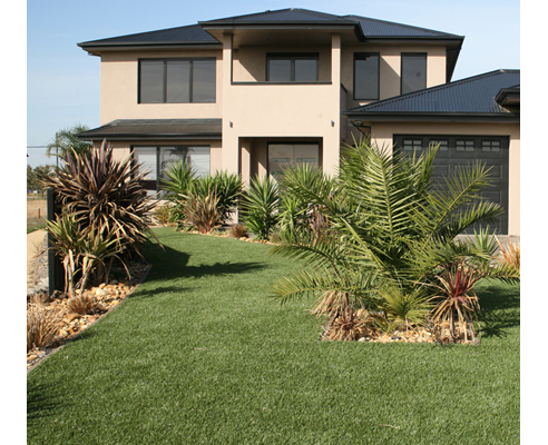 dense synthetic grass