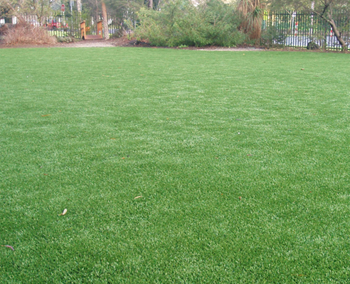 artificial lawn