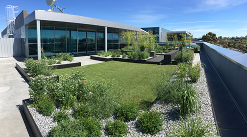 Biophilic Green Roof