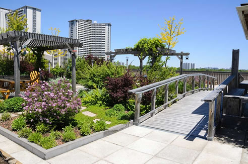 rooftop garden