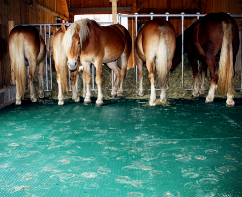 Equine flooring from Sherwood Enterprises