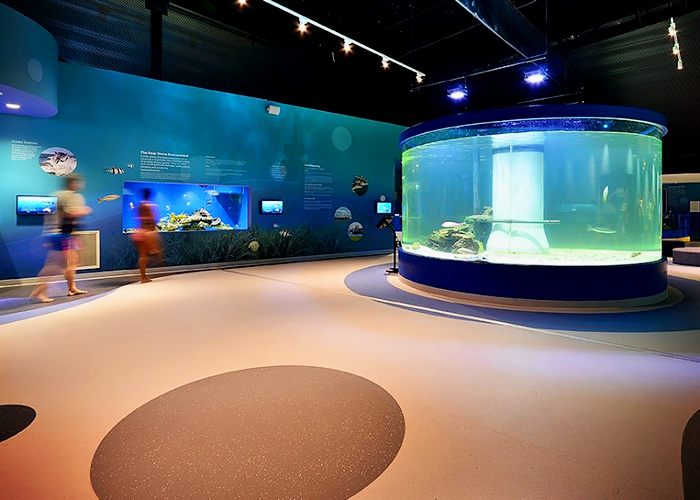 Step Safety Flooring for Dolphin Discovery Centre by Forbo