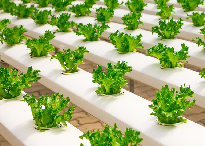 Specify Hydroponic Profiles from Australian Plastic Profiles