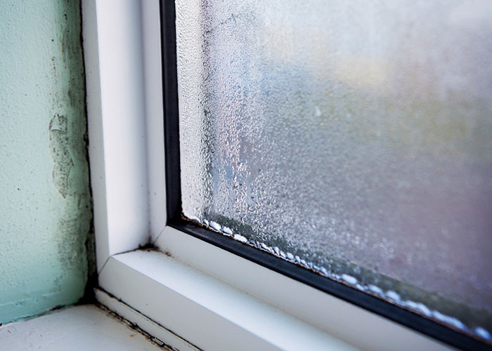 Home Ventilation Solutions to Avoid Moisture Issues by Schweigen