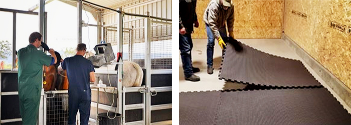 DIY Therapeutic Equine Stable Mats from Sherwood Enterprises