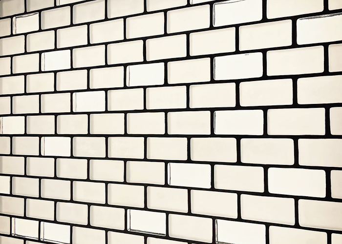 Solid Glass Brick Partition Walls by Obeco Glass Blocks
