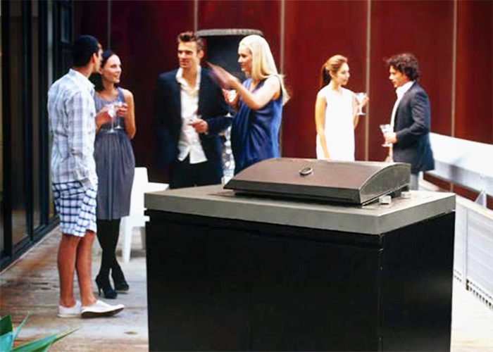 Electric Barbeque with Kitchen Cabinet from Thermofilm