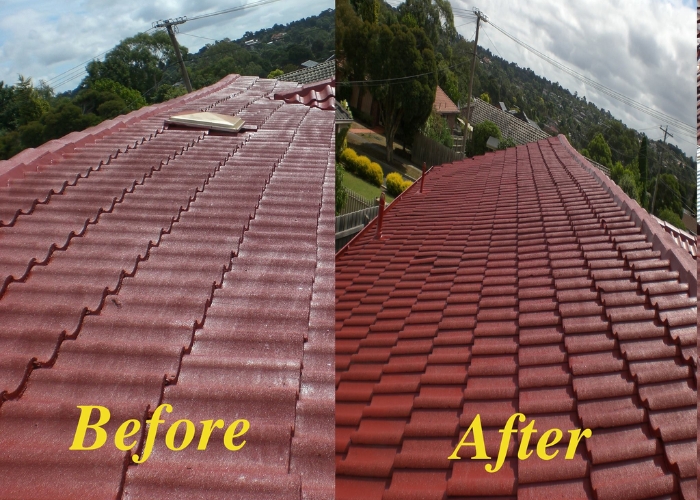Scheduled Roofing Inspections by Cocoon Coatings