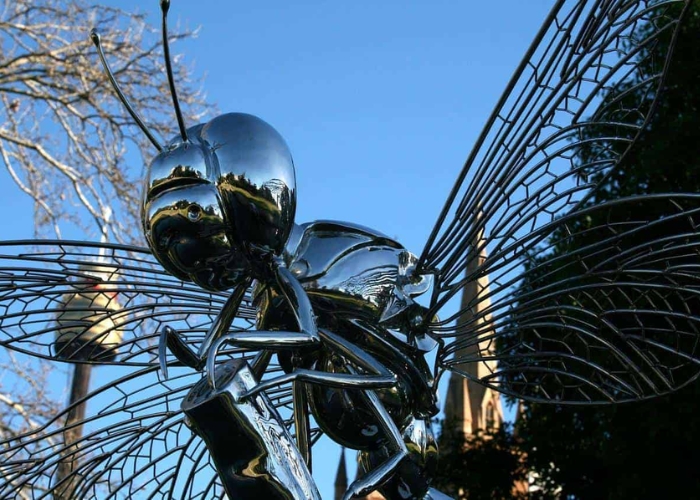 Stainless Steel Dragonfly Sculpture by ARTPark Australia