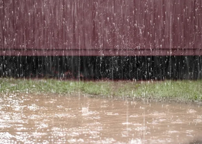 Drainage Solutions for Lawns by RELN