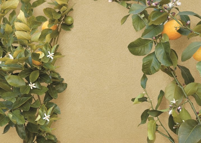 Water Based Textured Paint Finish by Dulux