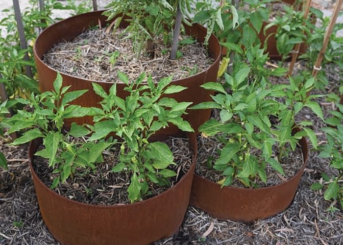 Weathered Steel Tiered Planters by FormBoss