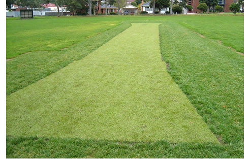 synthetic football grass