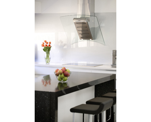 Quantum Quartz countertop