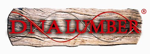 dna lumber logo