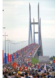 my thuan bridge opening