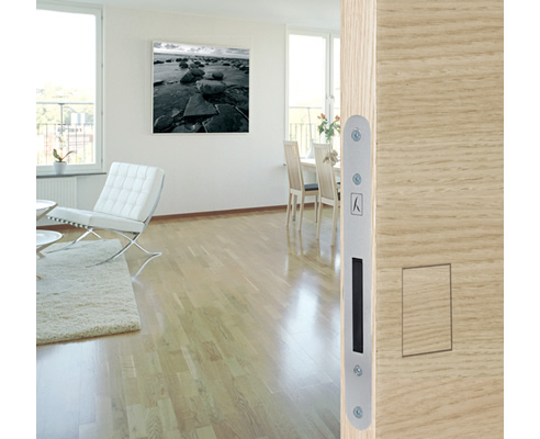 handle free door design