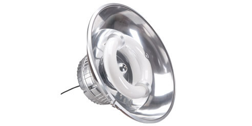 induction light bulb