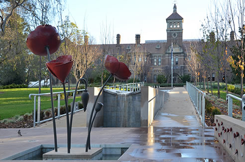 metal and concrete poppies