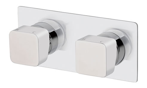 dual mixer system