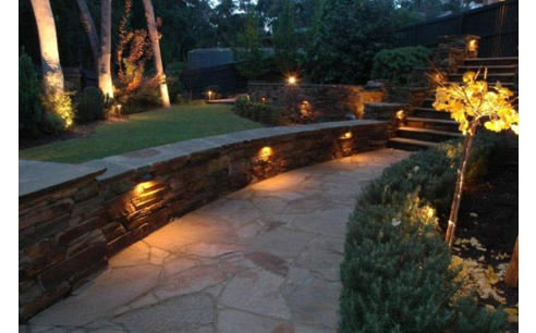 garden landscaping night