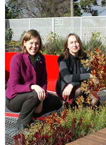 rooftop garden julie francis and sue murphy