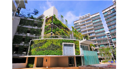 green wall landscape