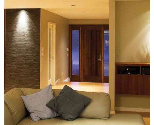 delf architectural sercurity lock series