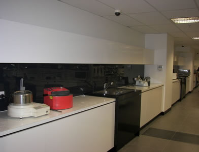 black bonethane kitchen splashback