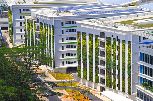 greenwalls singapore ite headquarters