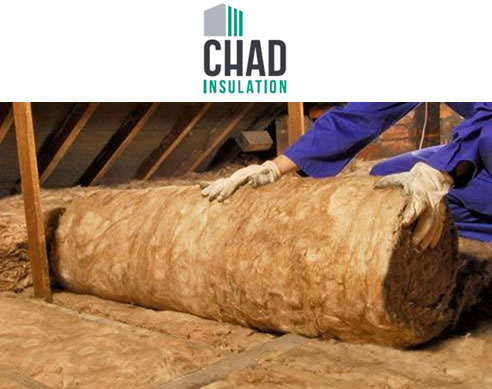 Ceiling Insulation