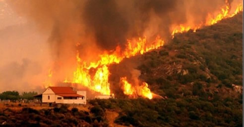 bushfire