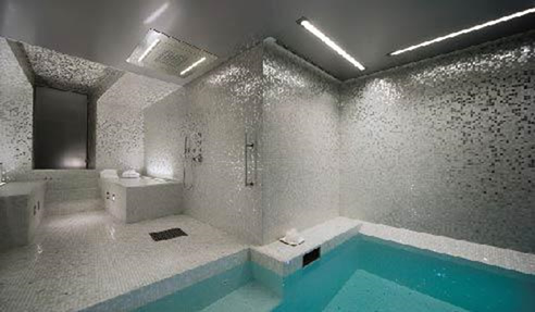 metallic mosaic tiled wet area