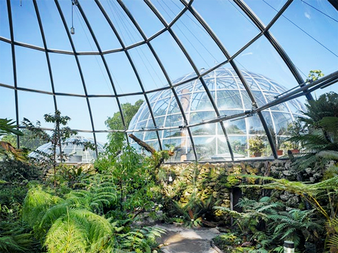 Self-cleaning greenhouses from Mitchell Group
