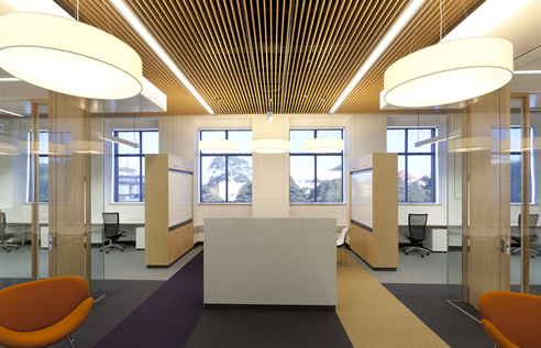 SUPATILE SLAT ceiling tiles