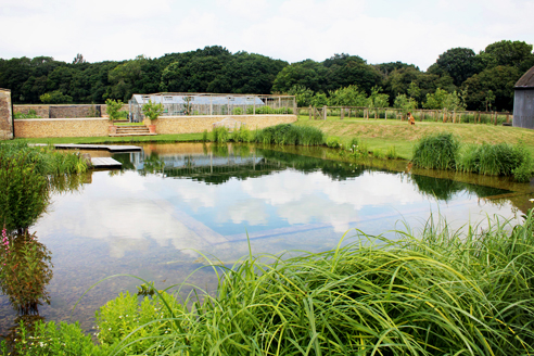 Natural pools from Waterco