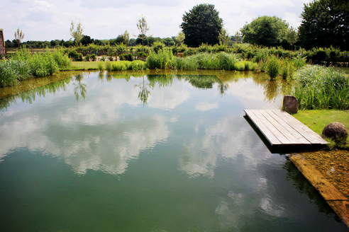 Swimming pools from Waterco