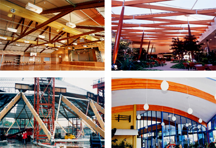 Structural Glulam Timber Beams from DGI