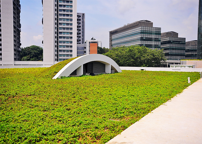 Green Roofs from Elmich